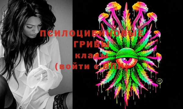 мдпв Арсеньев