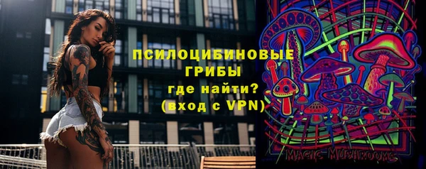 мдпв Арсеньев